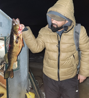 Walleye Season In Toronto 